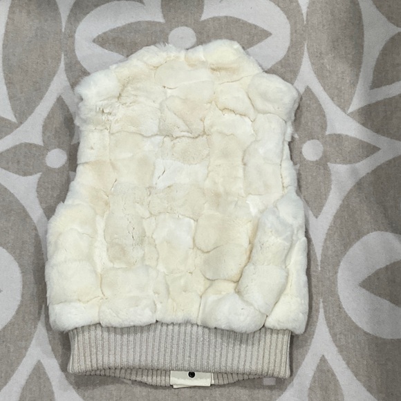 Louis Vuitton Rabbit Fur and Leather Vest - Picture 5 of 10